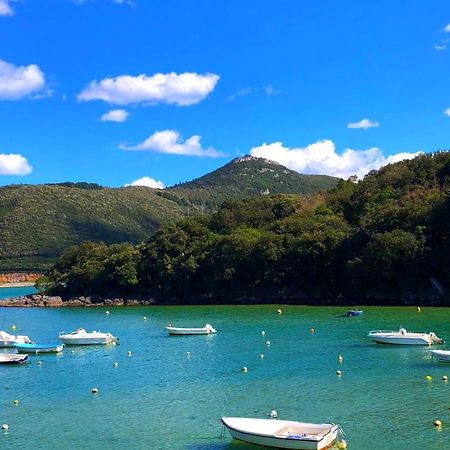 Apartmán Sokaire De Urdaibai Junto A Mundaka Sukarrieta Exteriér fotografie